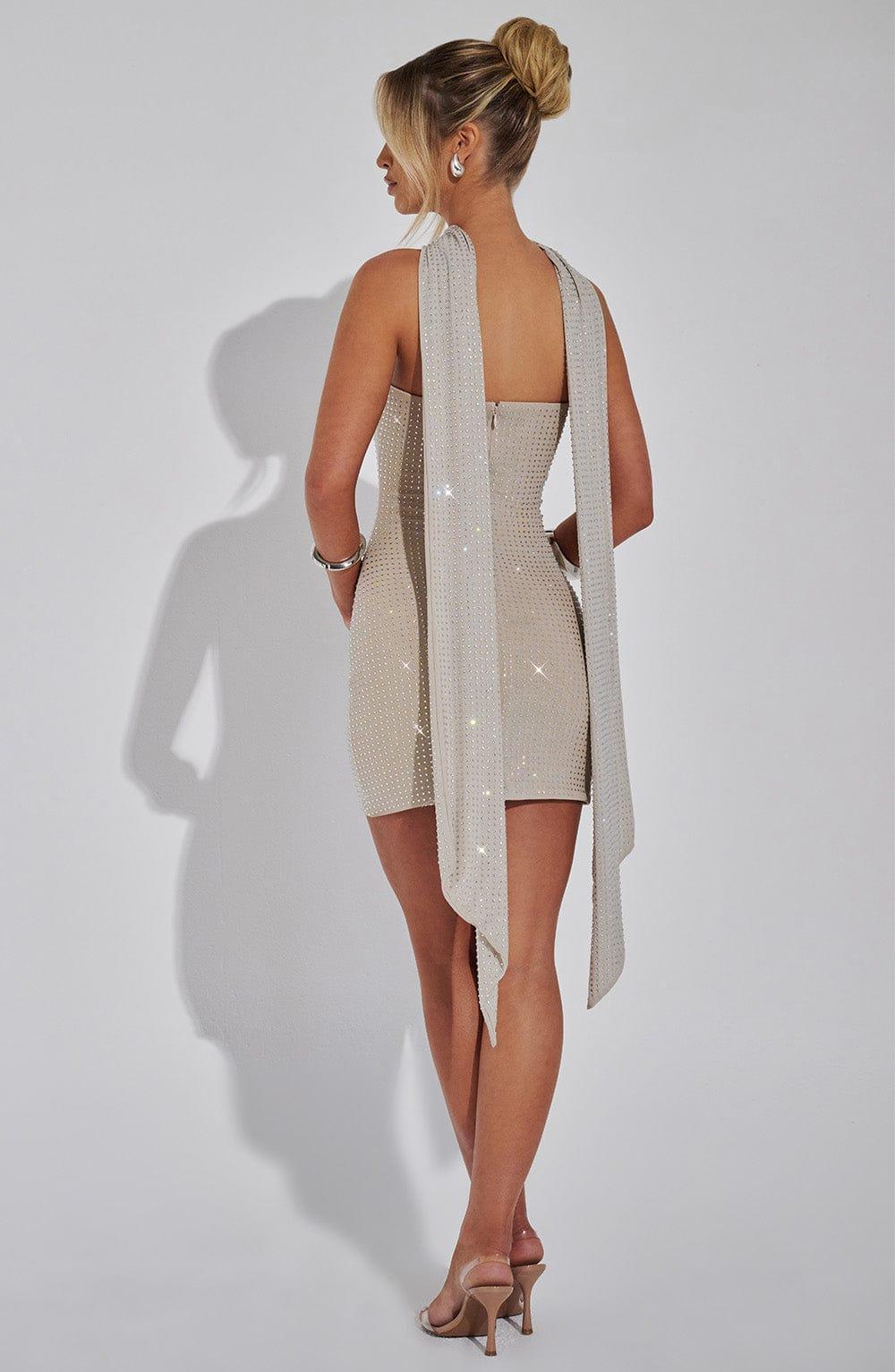 Ginni Mini Dress - Silver/Nude Product Image