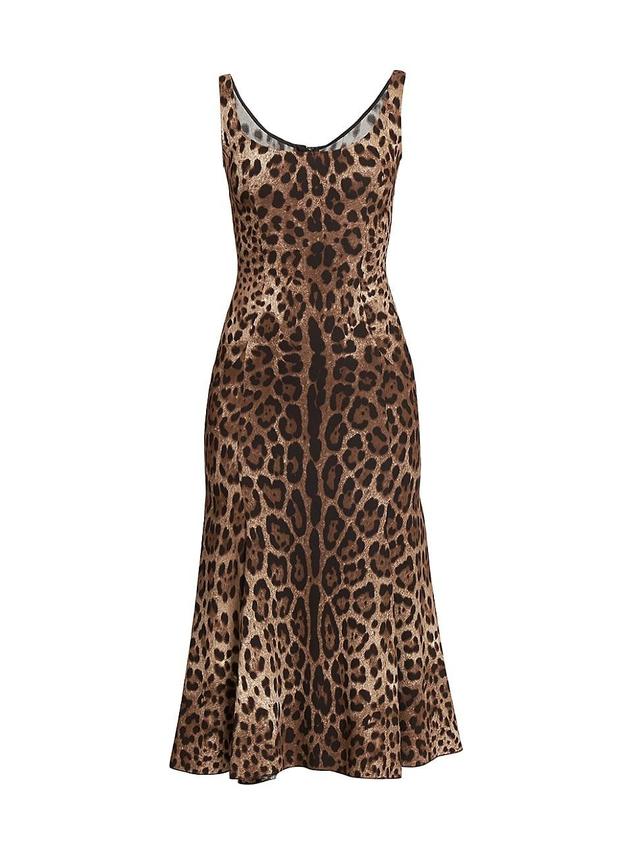 Dolce & Gabbana Leopard Print Cady Fit & Flare Dress Product Image