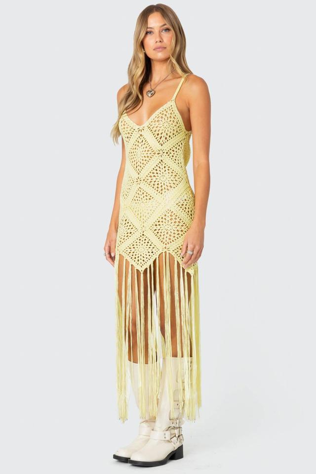 Fringey Crochet Maxi Dress Product Image