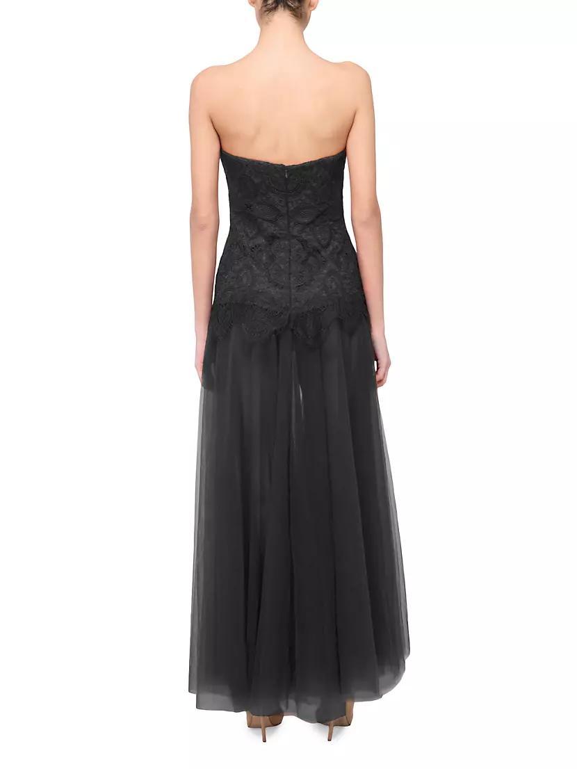 Womens Lace & Tulle Strapless Dress Product Image