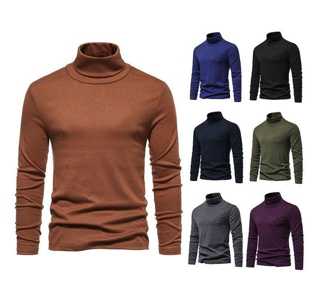 Long-Sleeve Turtleneck Plain Knit Top Product Image