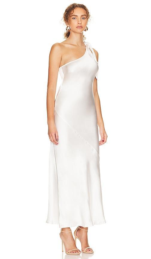 Karina Grimaldi Isabelle Maxi Dress Size M. Product Image