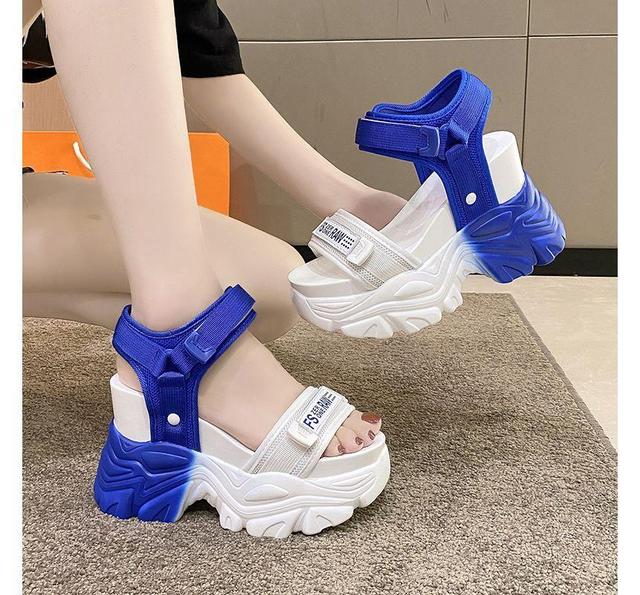 Platform Wedge Two Tone Sandals Product Image