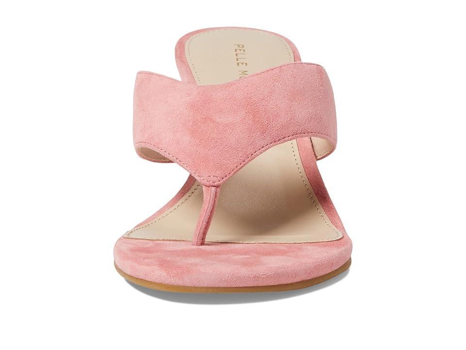 Pelle Moda Abi Sandal in Flamingo Pink at Nordstrom, Size 6 Product Image