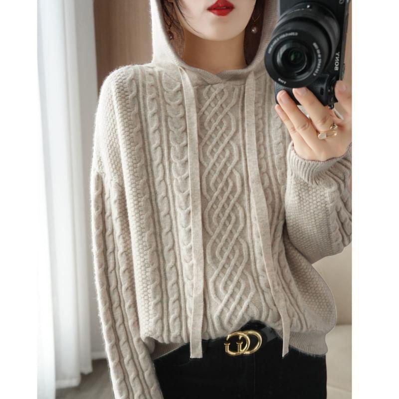 Plain Hood Cable Knit Sweater Product Image