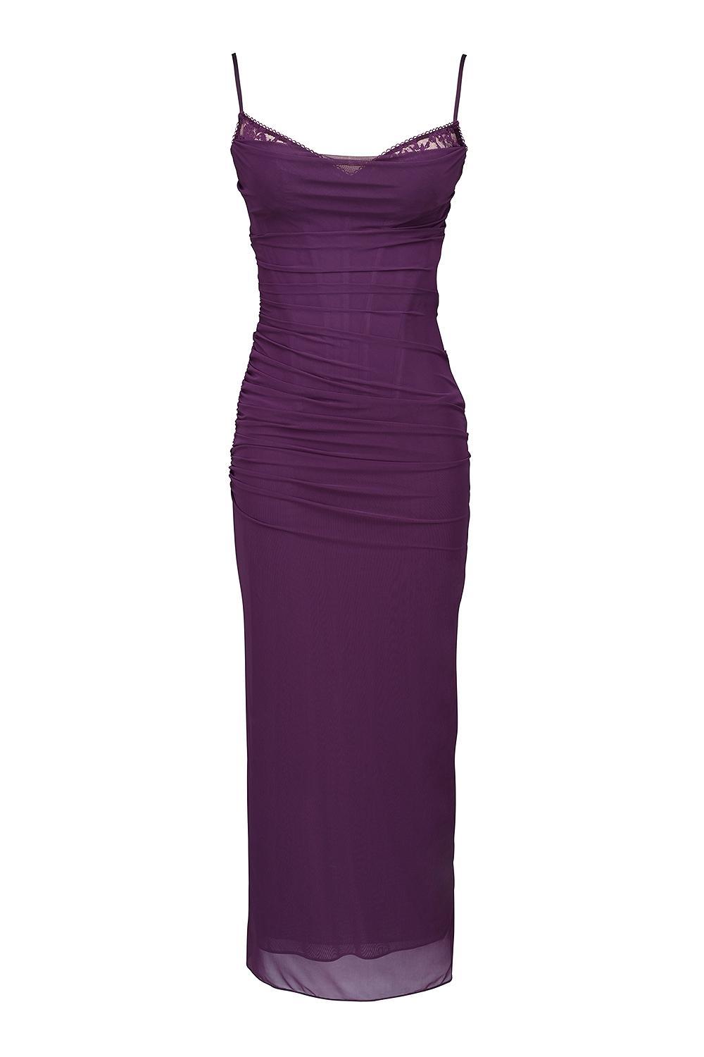 Nalini Grape Mesh Corset Maxi Dress Product Image