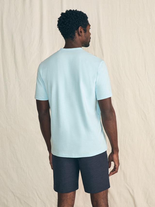 Short-Sleeve Sunwashed Henley - Blue Oasis Male Product Image