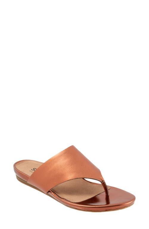 SoftWalk Chandler Sandal Product Image