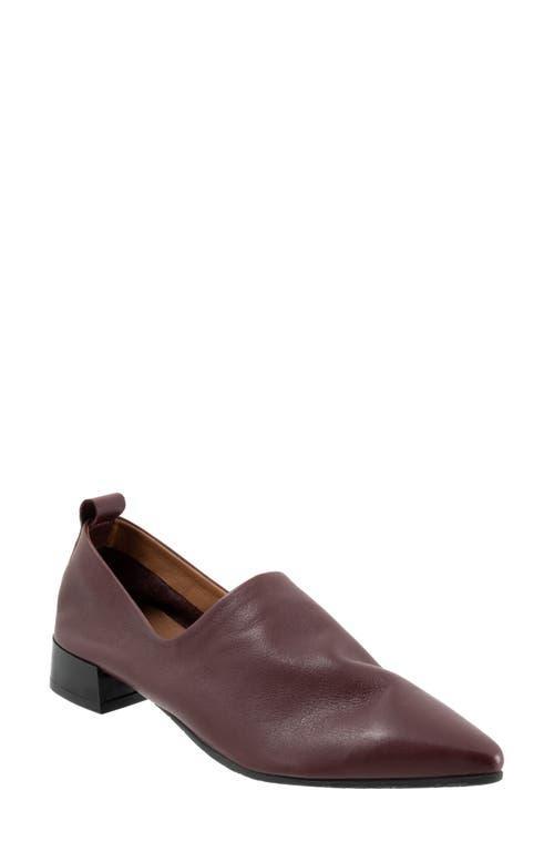 Bueno Marley Pointed Toe Loafer Product Image
