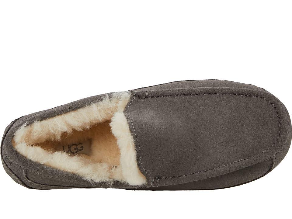 UGG(r) Ascot Slipper Product Image