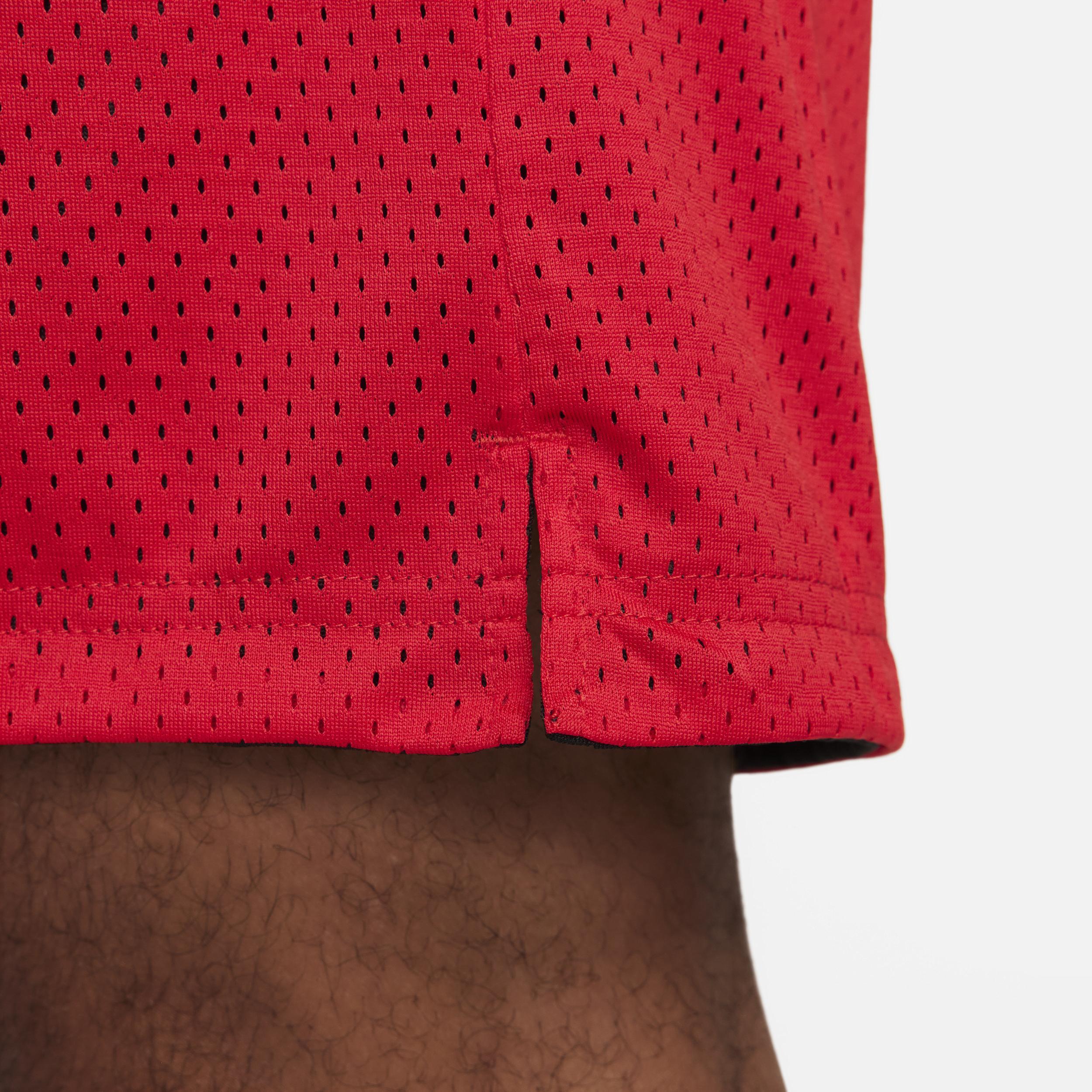 Nike Authentics Men's Practice Shorts Product Image