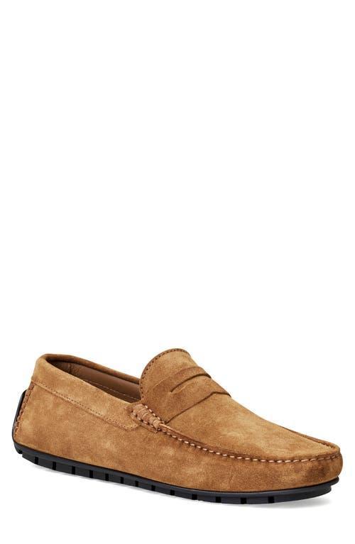 Bruno Magli Xane Driving Penny Loafer Product Image