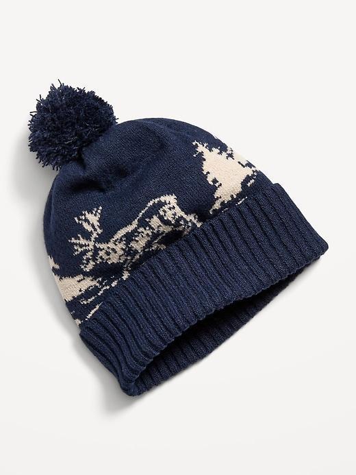 Pom-Pom Beanie Product Image