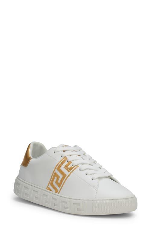 Versace Low Top Sneaker Product Image