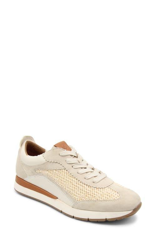 GENTLE SOULS BY KENNETH COLE Juno Sneaker Product Image