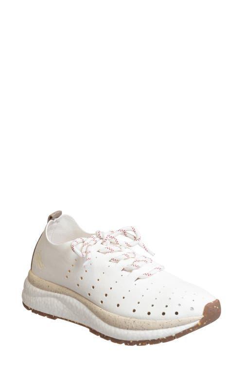 OTBT Alstead Perforated Sneaker Product Image