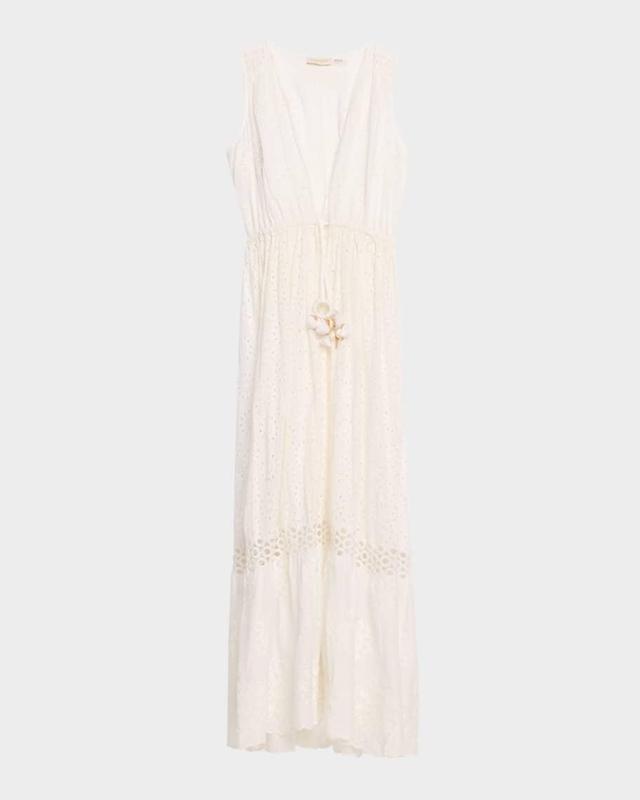 Paxton Embroidered Maxi Dress Product Image