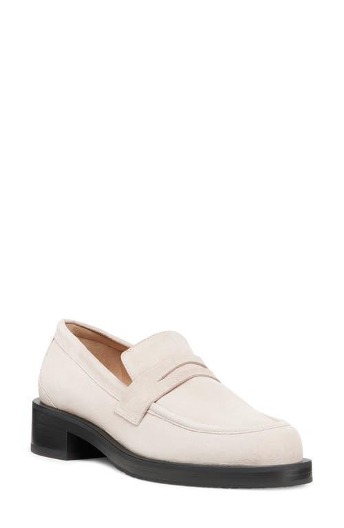 Stuart Weitzman Palmer Bold Loafer Product Image