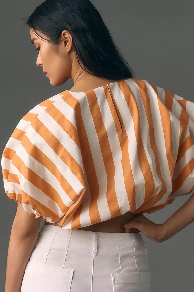 English Factory Striped Balloon Top Product Image