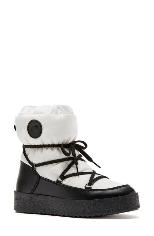 LA CANADIENNE Easton Nylon Lace-up Winter Booties In White Product Image