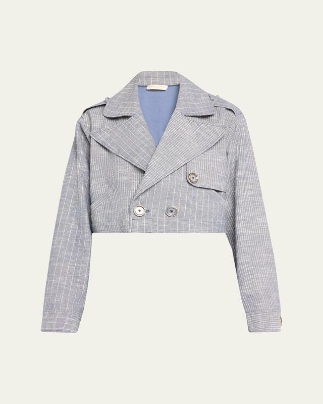 Annika Striped Cropped Jacket Product Image