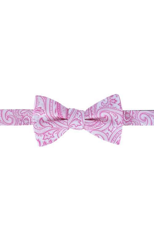 Trafalgar Sutton Silk Bow Tie Product Image