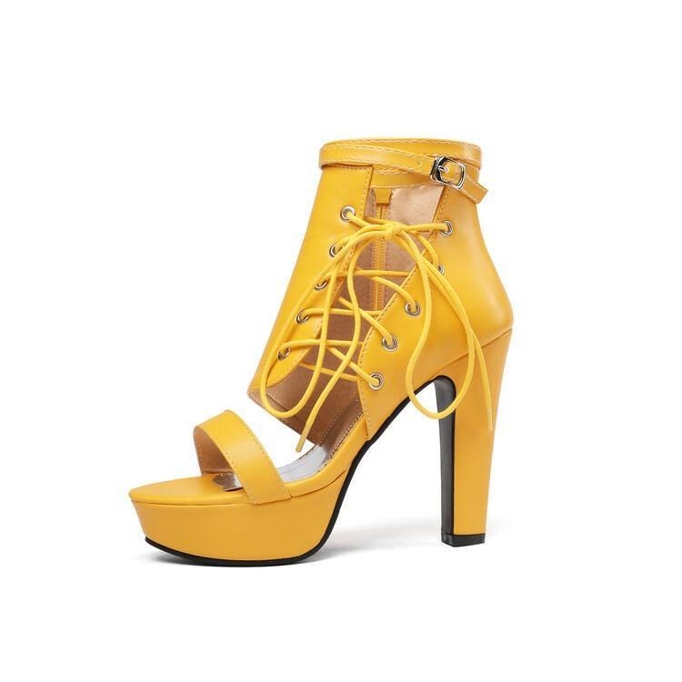 Ankle Strap Lace-Up Platform Chunky Heel Sandals Product Image