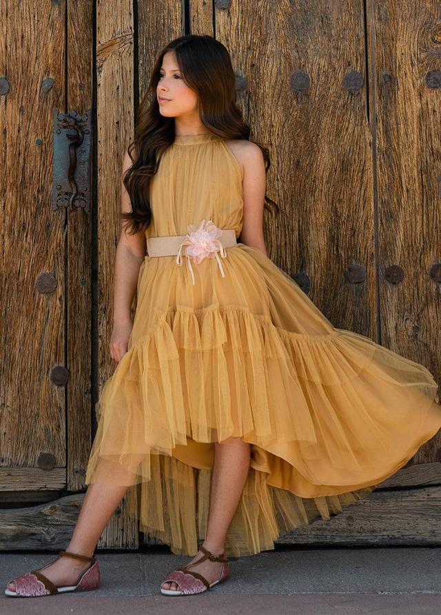 Fay Dress in Honey Product Image