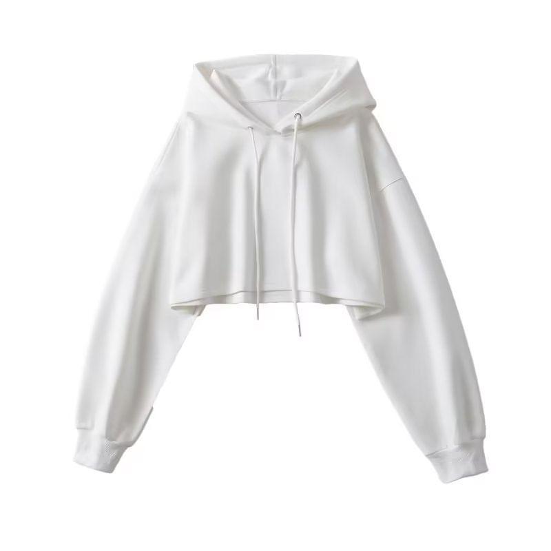 Long-Sleeve Plain Hoodie Product Image