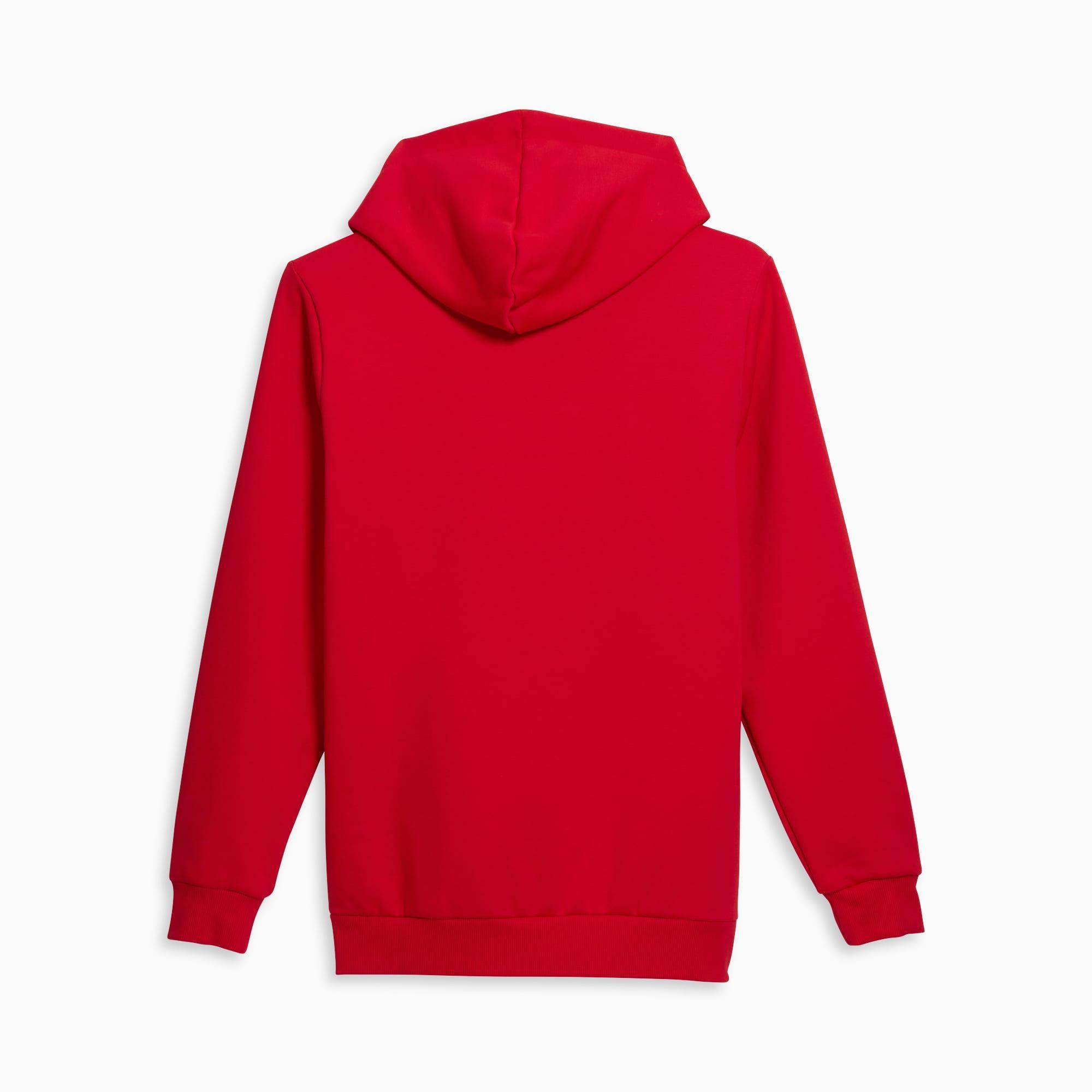 PUMA Big Cat Men's Logo Hoodie Product Image