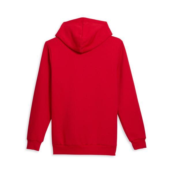 PUMA Big Cat Men's Logo Hoodie Product Image