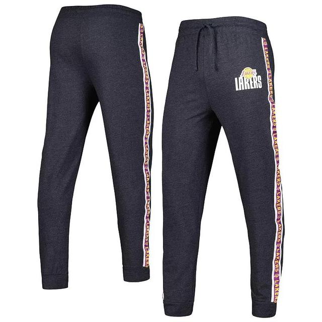 Mens Concepts Sport Charcoal Los Angeles Lakers Team Stripe Jogger Pants Product Image