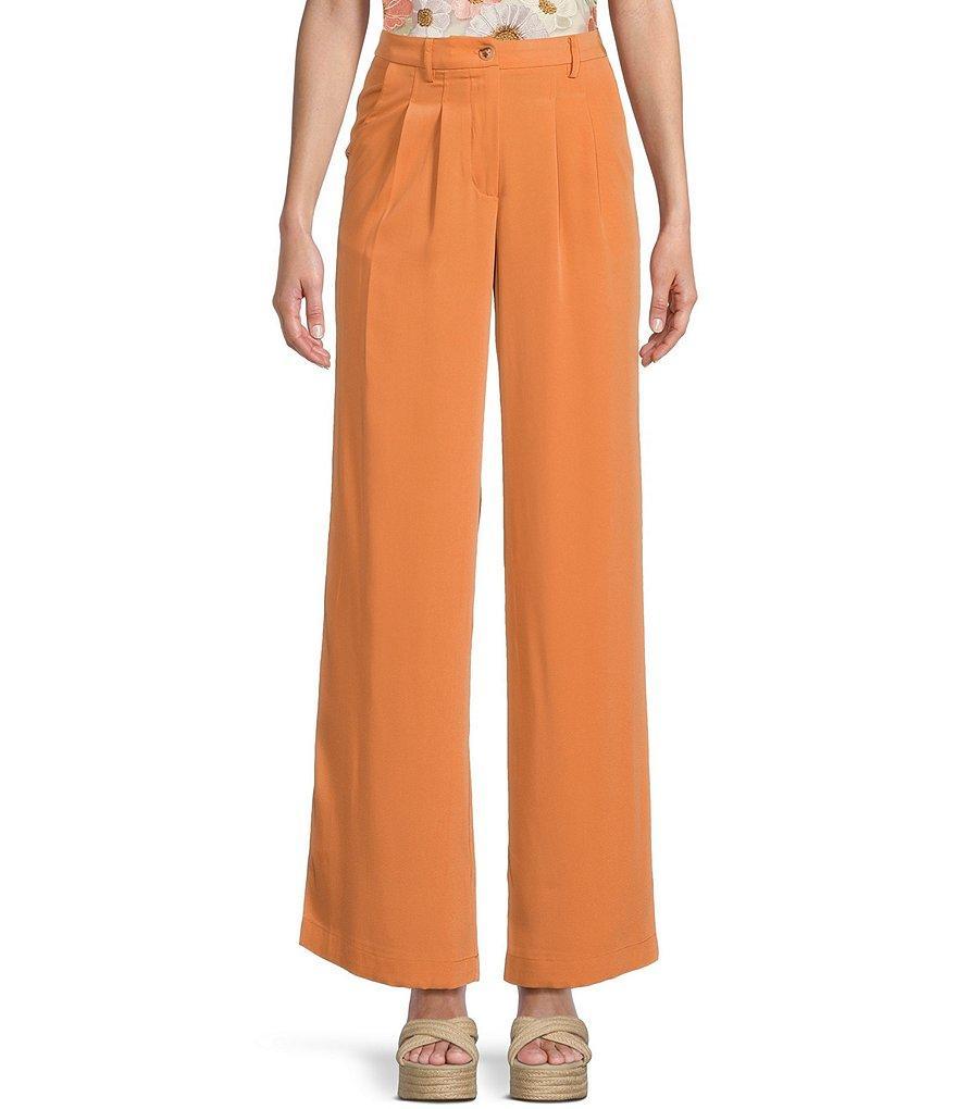 Evolutionary Mid Rise Pleated Pants Product Image