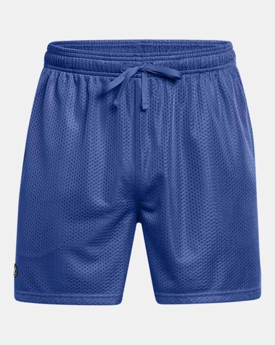 Men's UA Icon Mesh Shorts Product Image