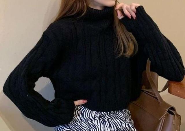 Turtleneck Plain Cable Knit Sweater Product Image