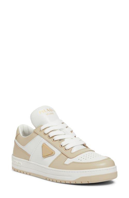 Downtown Bicolor Leather Low-top Sneakers In Brown Product Image