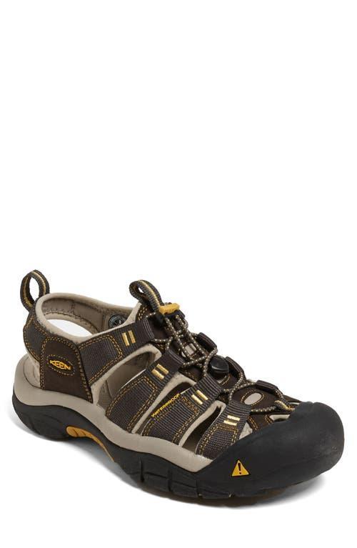 Keen Newport H2 Walking Sandals - AW23 Product Image