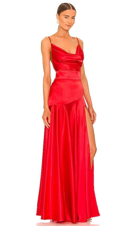 x REVOLVE Leo Maxi Dress Product Image