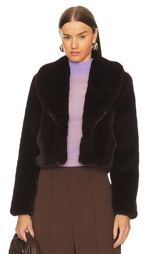 Davy Crop Faux Fur Jacket Product Image