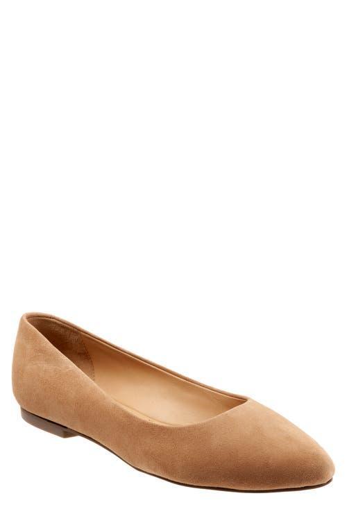 Trotters Estee Ballet Flat Product Image