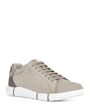 Geox Mens Adacter Suede Low Top Sneakers Product Image