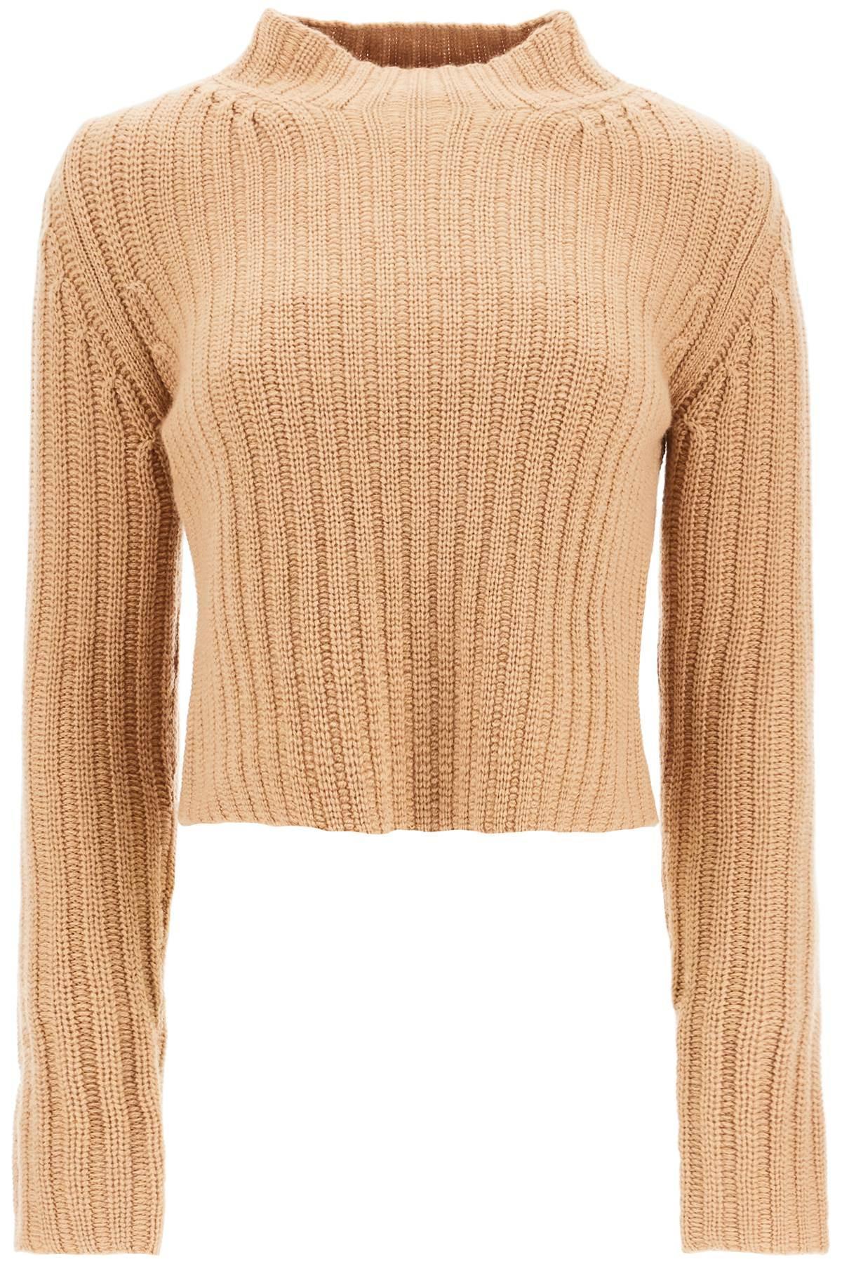 MAX MARA Ifrem Wool-cashmere Top In Beige Product Image