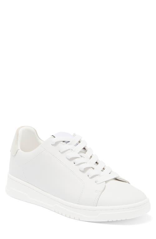 Steve Madden Elsin Leather) Women's Shoes Product Image