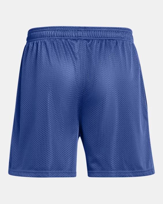 Men's UA Icon Mesh Shorts Product Image