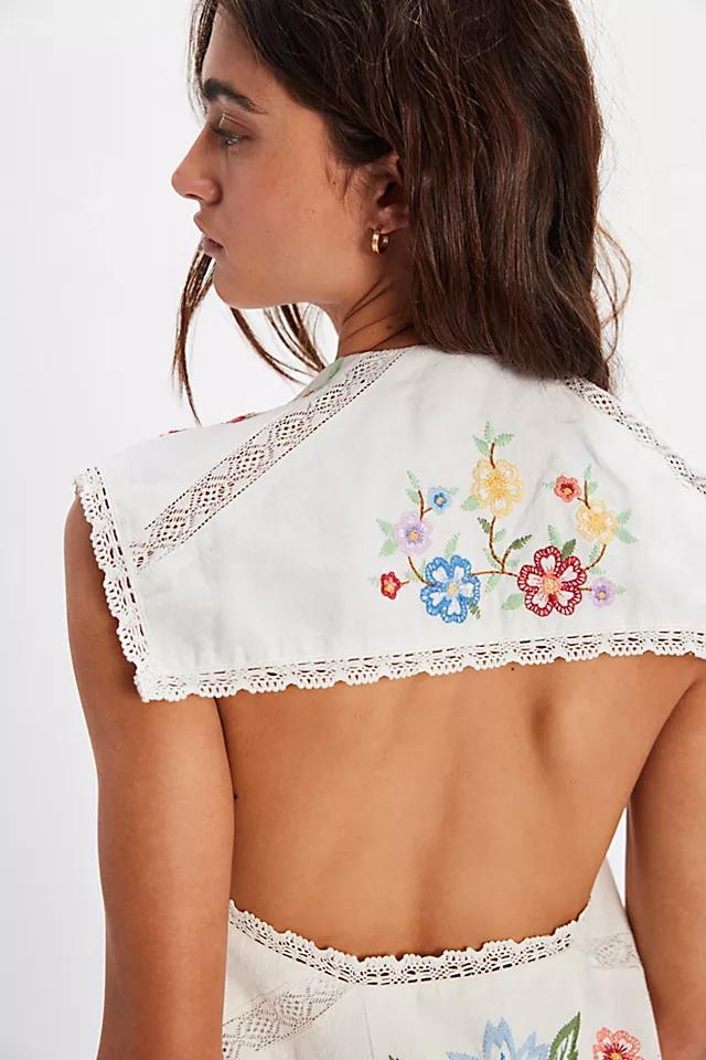 Willow Embroidered Mini Dress Product Image