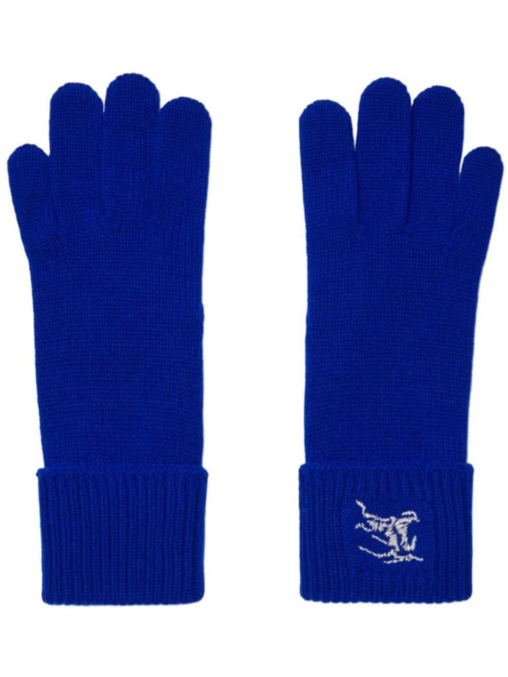 Gloves In Blue Product Image