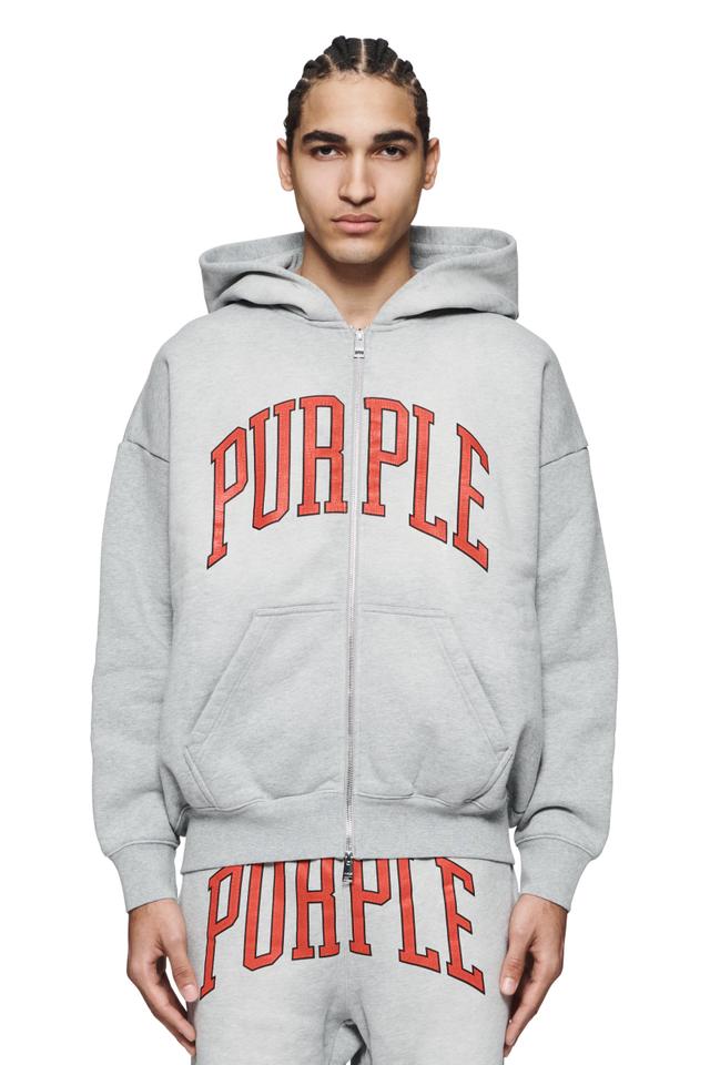 Collegiate Zip Up Hoodie Male Product Image