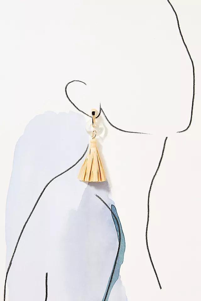 Enamel Ring Tassel Drop Earrings Product Image