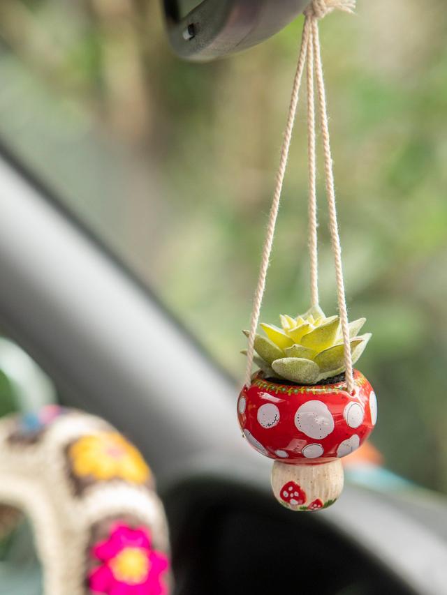 Faux Succulent Car Charm - Mushroom Product Image