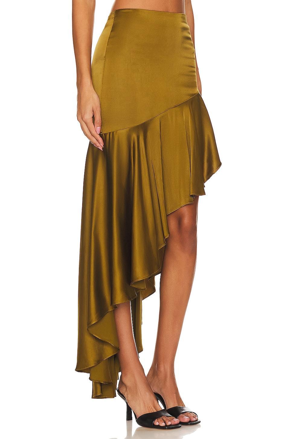 Amrita Maxi Skirt NBD Product Image